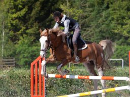 IMG_0650_web